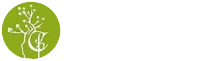 Bonsai Spa Health Hair Salon